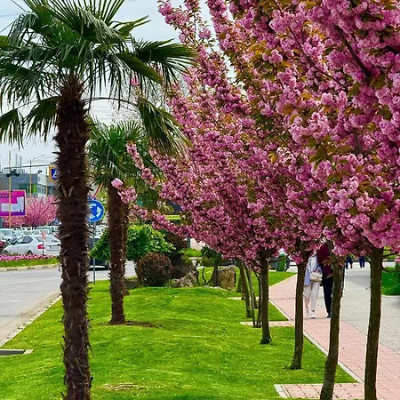 Crystal & Parkland Uzhhorod