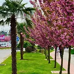 Crystal L Ужгород